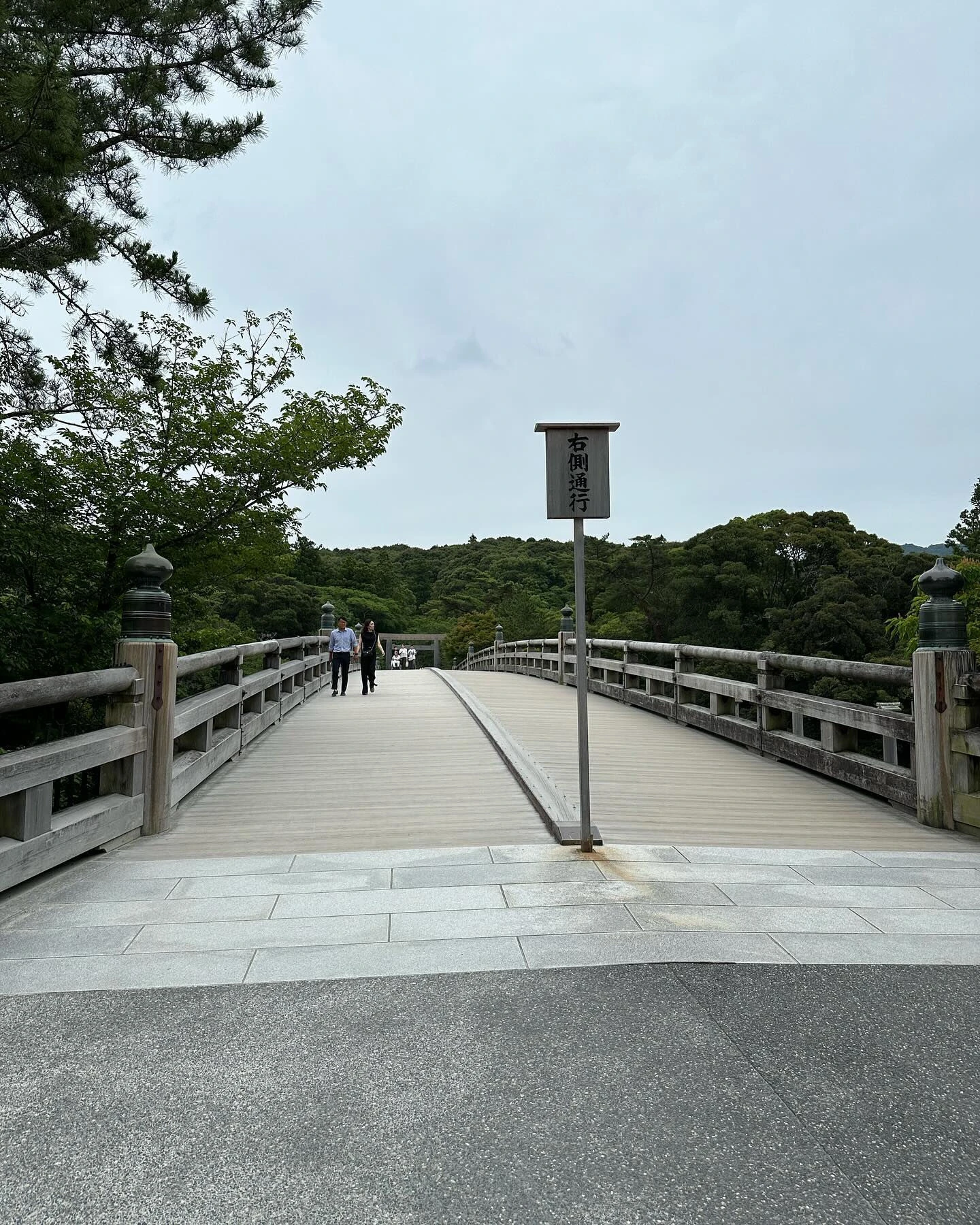【激レア】宇治橋古材の輪切　伊勢神宮
